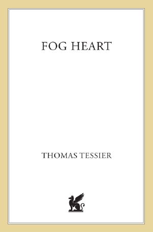 Fog Heart