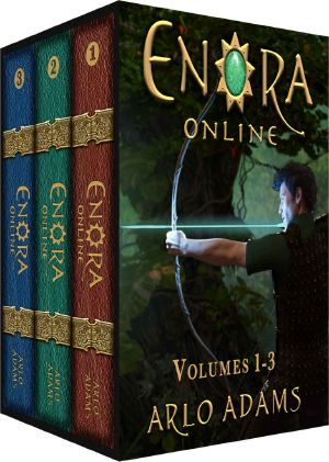 Enora Online Boxed Set Novels 1-3: A Fantasy LitRPG Gamelit Adventure Series