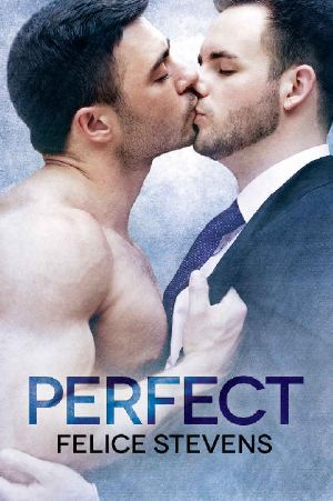 Perfect (Soulmates Book 4)