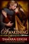 The AWAKENING · A Medieval Romance (Age of Faith Book 7)