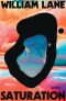 Saturation: A Novel