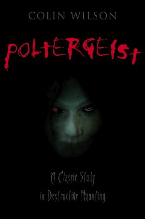 Poltergeist · A Classic Study in Destructive Haunting