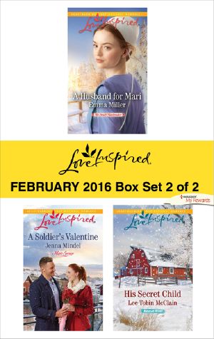 Love Inspired February 2016, Box Set 2 of 2