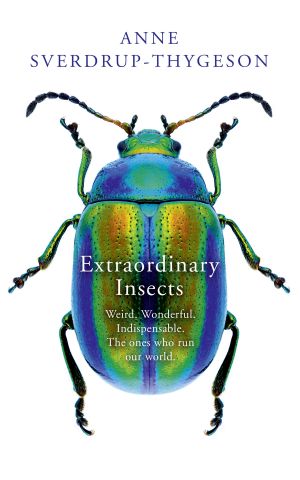 Extraordinary Insects