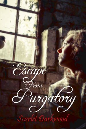 Escape From Purgatory_BooksGoSocial Historical Fiction