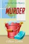 A Clean Murder: Ray and Cain Mysteries, #3