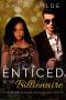 Enticed by the Billionaire · A BWWM Billionaire Romance Collection