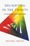 Delighting in the Trinity · An Introduction to the Christian Faith