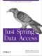 Just Spring Data Access