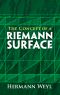 Concept of a Riemann Surface