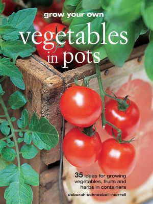 Grow Your Own Vegetables in Pots