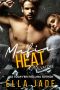 Salvatore (Mafia Heat, #3)