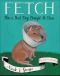 Fetch · How a Bad Dog Brought Me Home