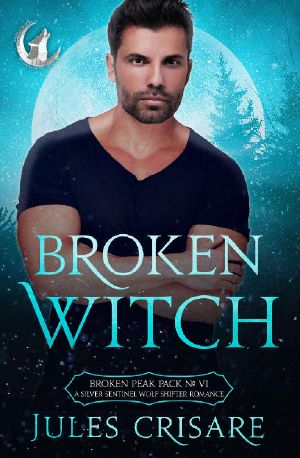 Broken Witch: A Silver Sentinels Fated Mates Wolf Shifter Romance (Broken Peak Pack Book 6)