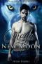 Omega New Moon · M/M Shifter Short Story Romance