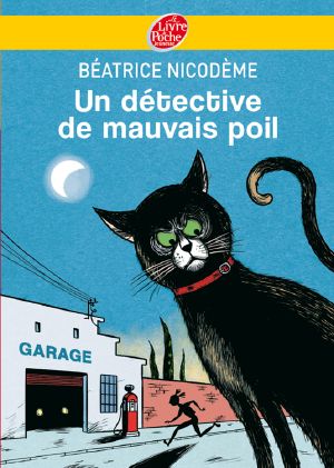 Un Détective De Mauvais Poil