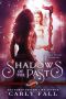 Shadows of the Past (A Time Travel Romance)