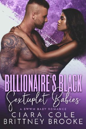 Billionaire's Black Sextuplet Babies · A BWWM Baby Romance