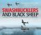 Swashbucklers and Black Sheep · A Pictorial History of Marine Fighting Squadron 214 in World War II