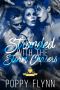 Stranded with the Storm Chasers (Loved by Three Book 9)