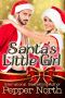 Santa’s Little Girl