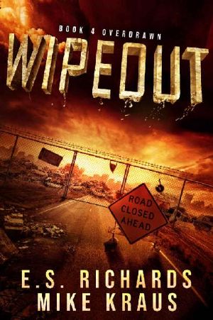 Wipeout | Book 4 | Overdrawn