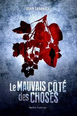 Le Mauvais Côté Des Choses