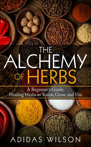 The Alchemy of Herbs · A Beginner's Guide