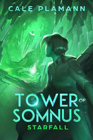 Starfall: A LitRPG Adventure (Tower of Somnus Book 3)