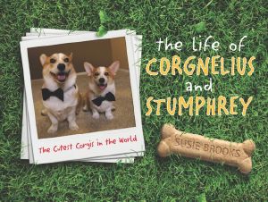 The Life of Corgnelius and Stumphrey · the Cutest Corgis in the World