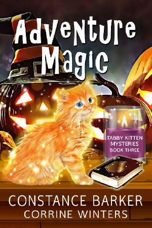 Adventure Magic (Tabby Kitten Mystery Book 3)