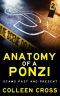 Anatomy of a Ponzi