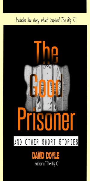 The Good Prisoner · and Other Short Stories