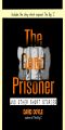 The Good Prisoner · and Other Short Stories