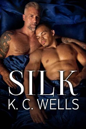 Silk (A Material World Book 3)