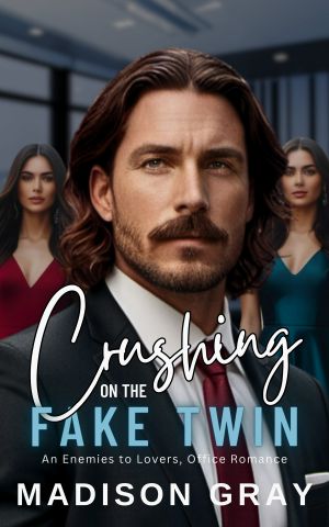 Crushing on the Fake Twin