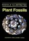 Plant Fossils · The History of Land Vegetation