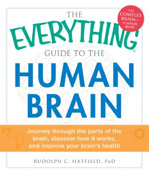 The Everything Guide to the Human Brain