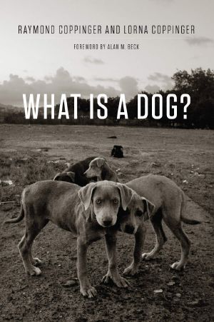 What Is a Dog?