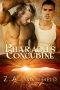 The Pharaoh's Concubine