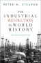 The Industrial Revolution in World History