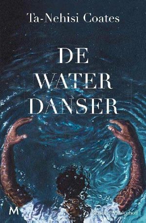 De waterdanser