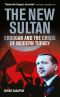 The New Sultan · Erdogan and the Crisis of Modern Turkey