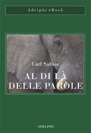 Al Di Là Delle Parole