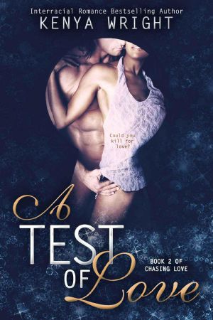 A Test of Love · Interracial Erotic Romance (Chasing Love)