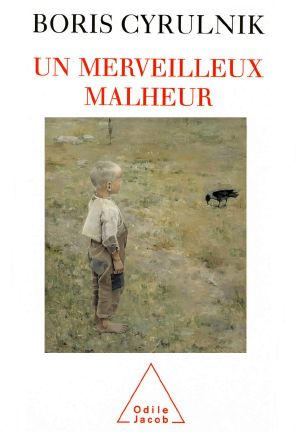 Un Merveilleux Malheur