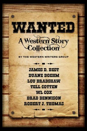 Wanted · a Western Story Collection