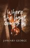 Where The Light Comes In (Rafferty Ridge Book 1)