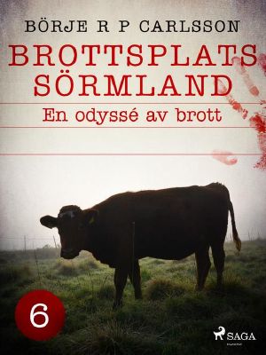 Brottsplats Sörmland. 6, En odyssé av brott