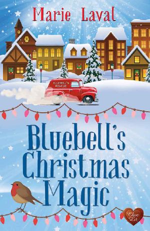 Bluebell's Christmas Magic · A Perfect and Heart-Warming Cosy Christmas Romance for 2019